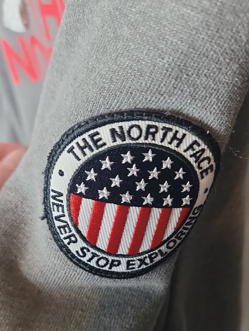 The North Face Hoodie Sweatshirt Mens LARGE USA Gray
